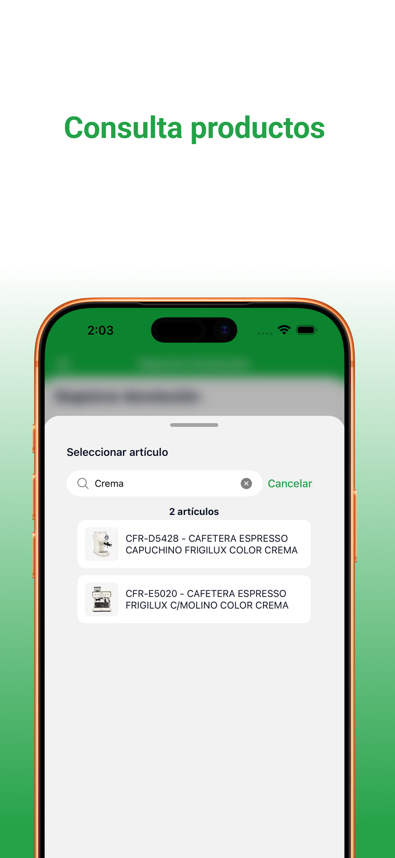 Inventario de Artículos